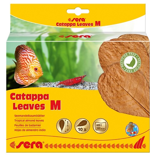 Sera® Catappa Leaves
