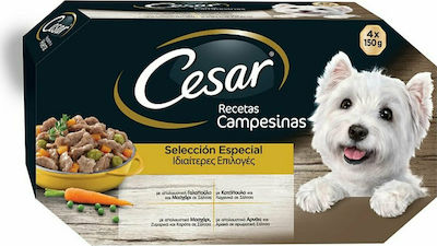 Cesar® Multipack Κεσεδάκια Γαλοπούλα, Μοσχάρι, Κοτόπουλο & Αρνί